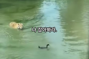 나 잡아봐라.