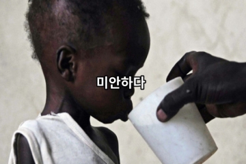 미안하다 